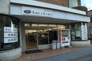 アクアライク|愛知県安城市|水槽販売・買取/大型魚(熱帯魚)販売/淡水エイ