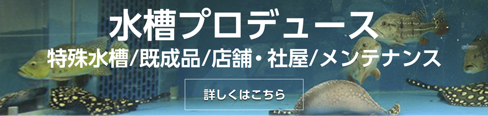 アクアライク|愛知県安城市|水槽販売・買取/大型魚(熱帯魚)販売/淡水エイ