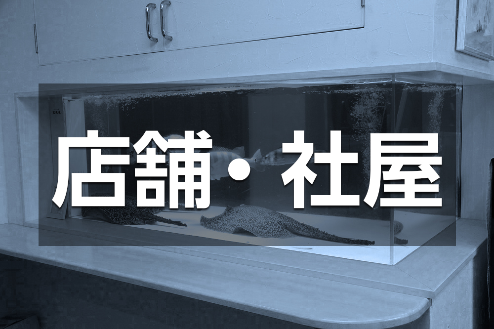 アクアライク|愛知県安城市|水槽販売・買取/大型魚(熱帯魚)販売/淡水エイ