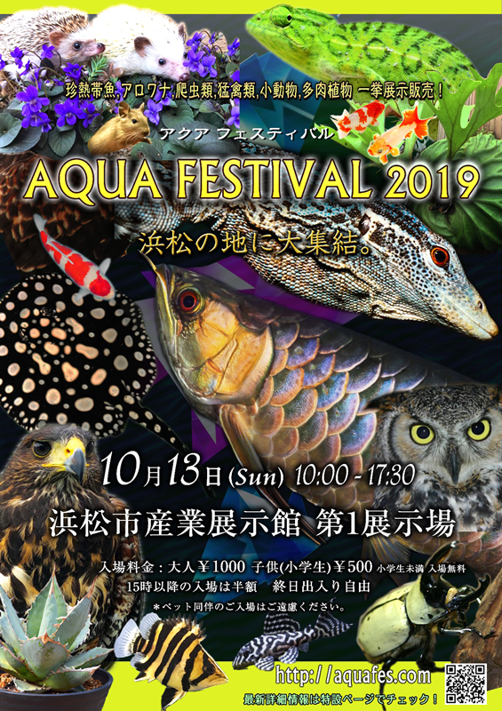 アクアフェスティバル2019 in浜松|アクアライク|愛知県安城市|水槽販売・買取/大型魚(熱帯魚)販売/淡水エイ