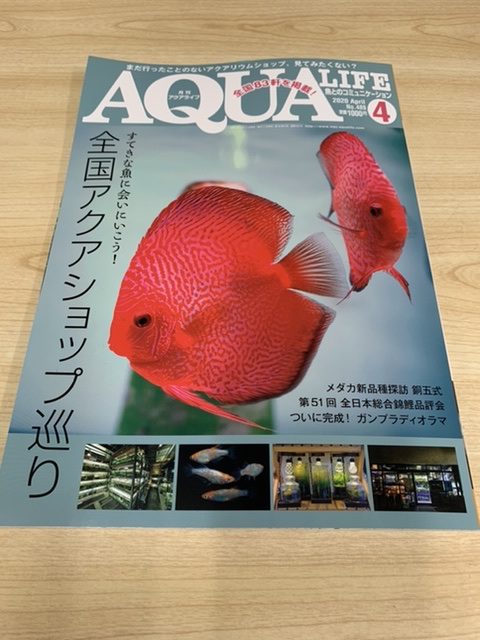 アクアライク|愛知県安城市|水槽販売・買取/大型魚(熱帯魚)販売/淡水エイ