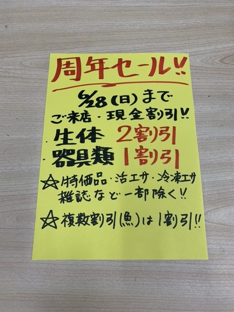 アクアライク|愛知県安城市|水槽販売・買取/大型魚(熱帯魚)販売/淡水エイ