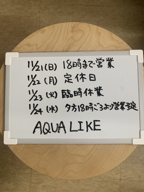 アクアライク|愛知県安城市|水槽販売・買取/大型魚(熱帯魚)販売/淡水エイ