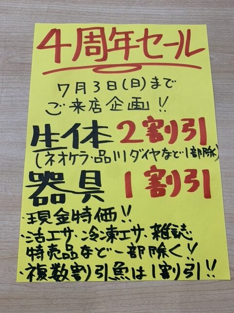 4周年セール‼︎|アクアライク|愛知県安城市|水槽販売・買取/大型魚(熱帯魚)販売/淡水エイ