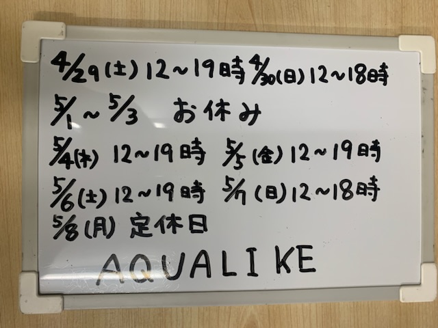 GW営業予定|アクアライク|愛知県安城市|水槽販売・買取/大型魚(熱帯魚)販売/淡水エイ