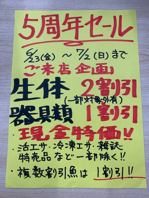5周年セール開催中！！|アクアライク|愛知県安城市|水槽販売・買取/大型魚(熱帯魚)販売/淡水エイ