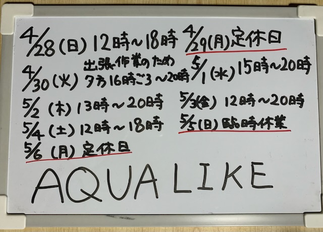 GW営業予定|アクアライク|愛知県安城市|水槽販売・買取/大型魚(熱帯魚)販売/淡水エイ