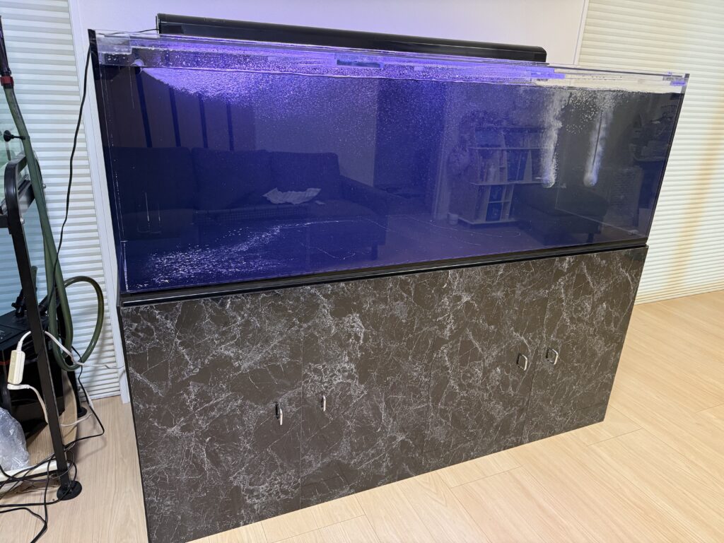 中古水槽設置　知多市　Mさん　|アクアライク|愛知県安城市|水槽販売・買取/大型魚(熱帯魚)販売/淡水エイ