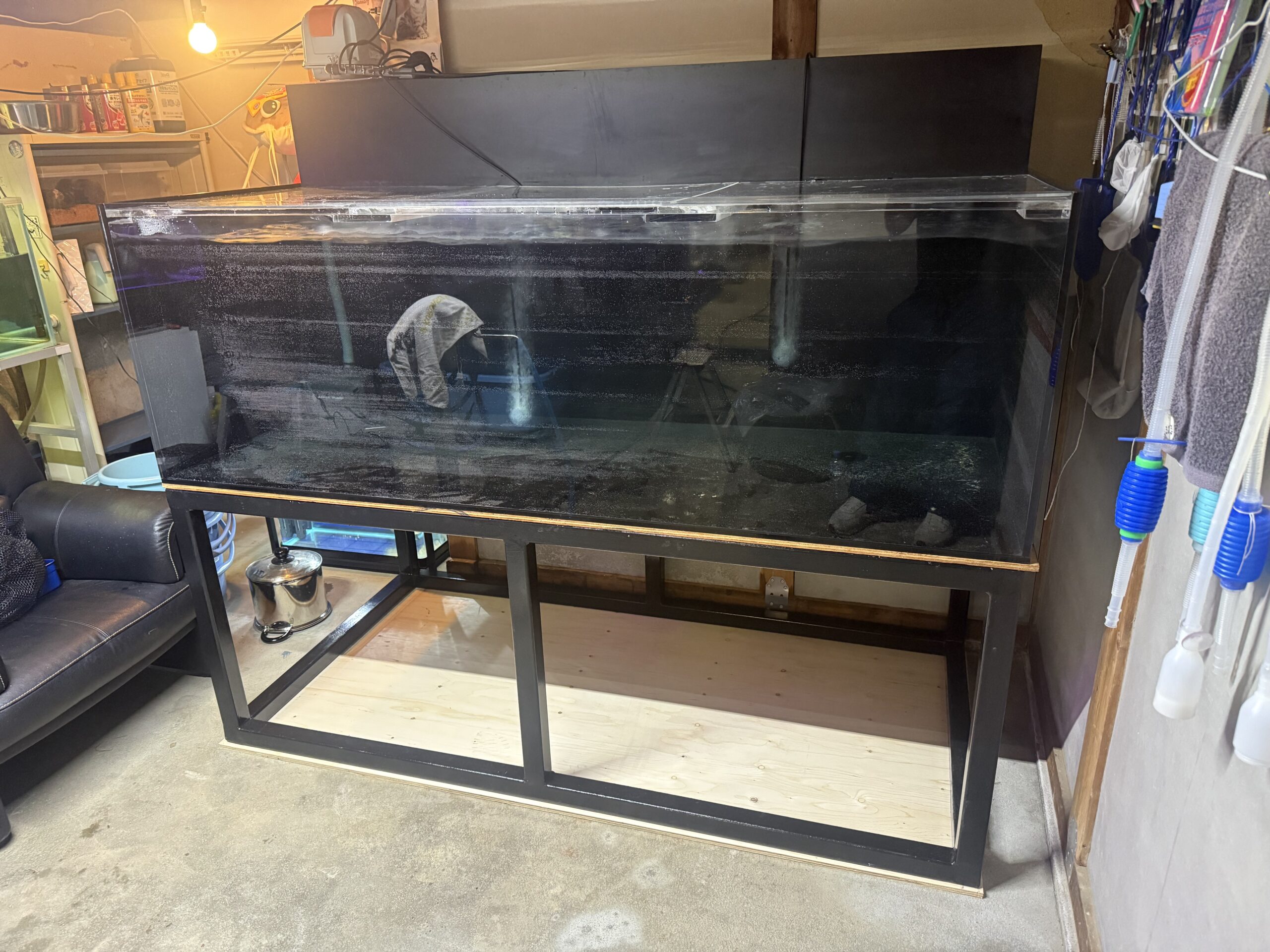 中古水槽設置　知多市　Hさん　|アクアライク|愛知県安城市|水槽販売・買取/大型魚(熱帯魚)販売/淡水エイ