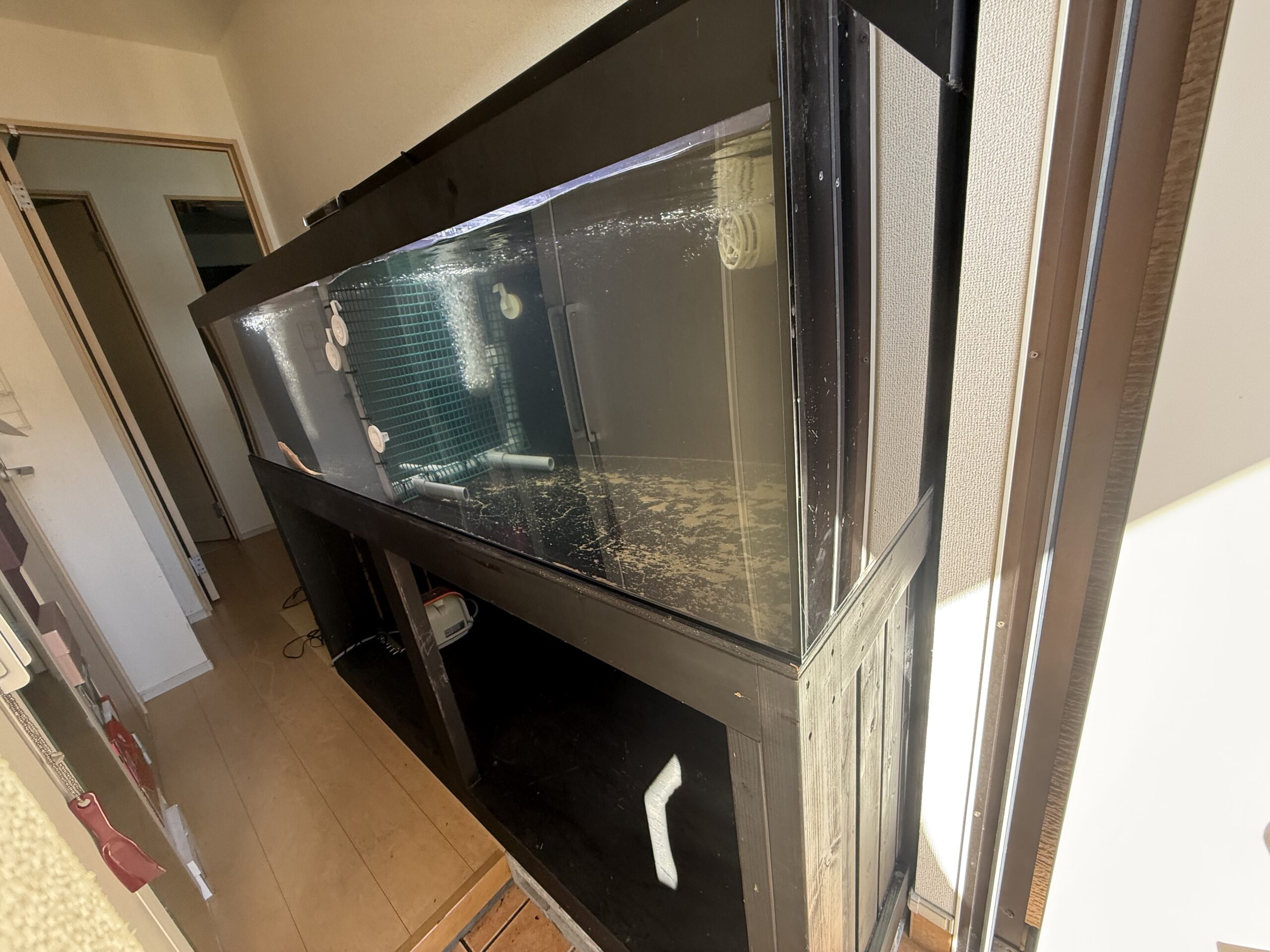 アクアライク|愛知県安城市|水槽販売・買取/大型魚(熱帯魚)販売/淡水エイ
